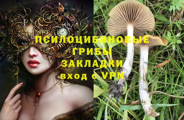 прущий лед Алзамай