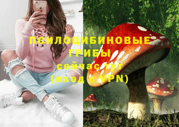 прущий лед Алзамай