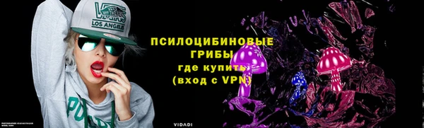 бошки Алексеевка