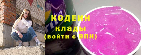 прущий лед Алзамай