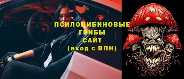 прущий лед Алзамай