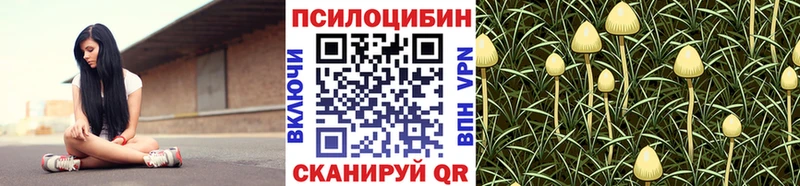 darknet телеграм  Карабаш  Галлюциногенные грибы Cubensis 